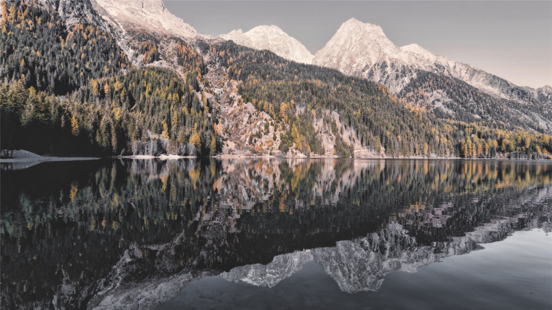 谷歌浏览器下载文件怎么直接另存为_谷歌浏览器下载的文件怎么保存到桌面 - gmail相关 - 55dz账号网