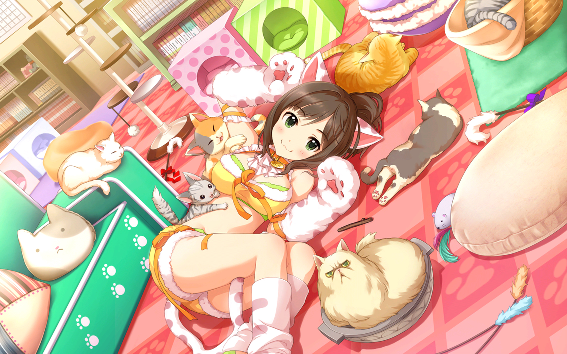 notability怎么不用笔写_notability有别的笔吗 - IOS分享 - 55dz账号网