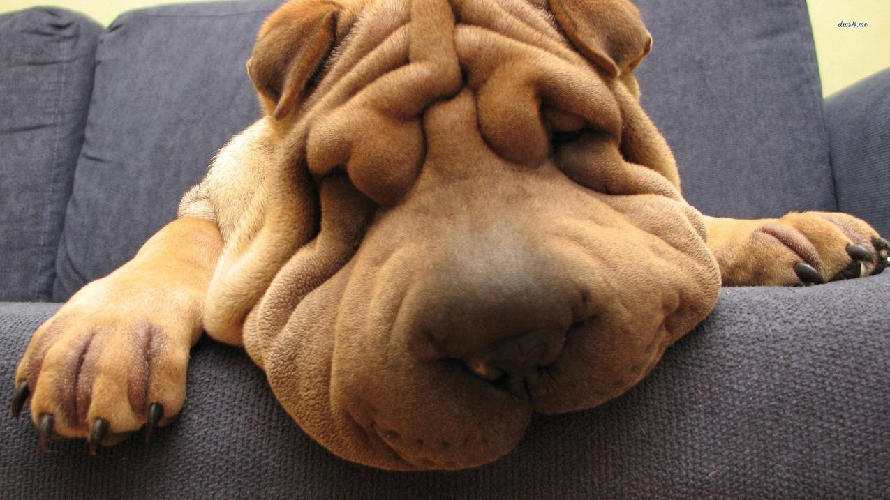 快手免费刷双击50个 - 抖音1元1000赞活人网,抖音自助下单分享