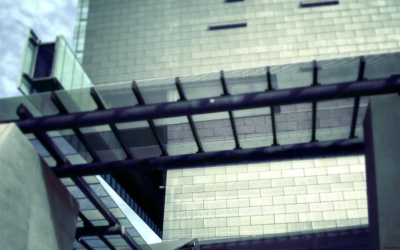 推特怎么关闭自动播放视频_推特怎么设置视频自动播放 - tw相关 - 55dz账号网