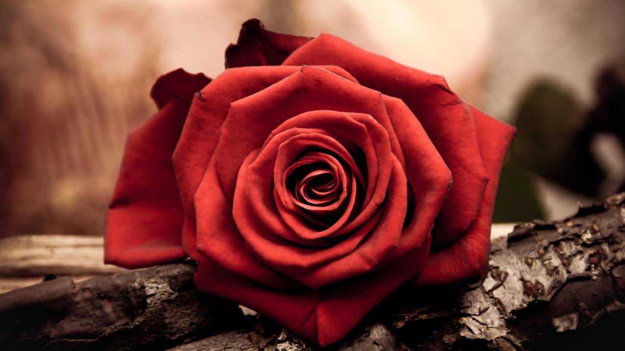 怎样破解越南苹果id激活锁（怎样破解越南苹果id激活锁的密码） - 各区苹果ID - 55dz账号网