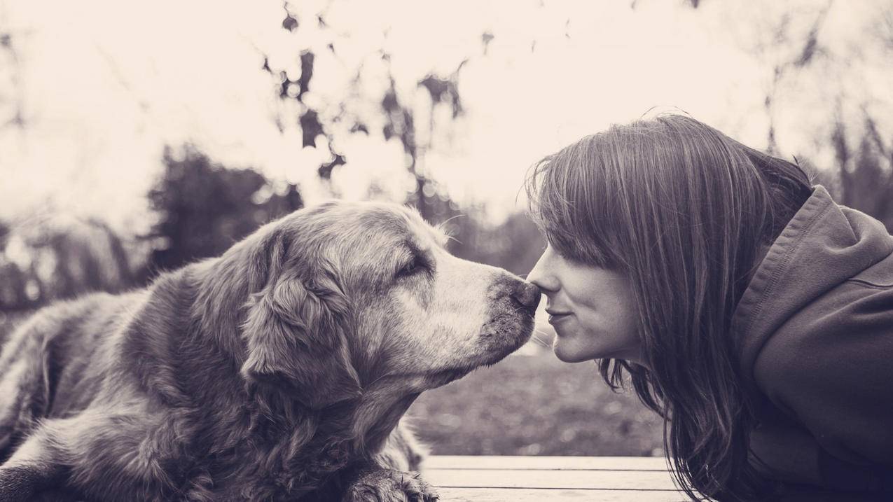 如何设置微信自动付款功能_微信怎么自动付款 - 微信相关 - 55dz账号网