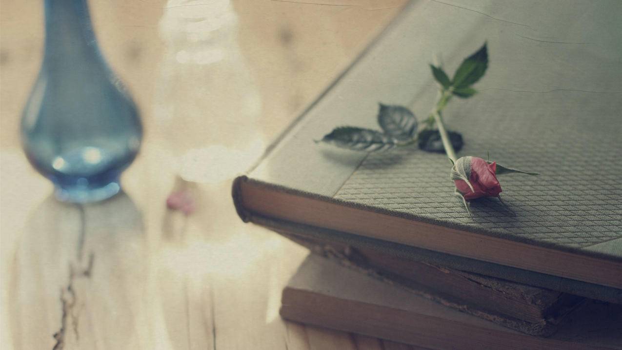 小火箭节点几块钱  ( 苹果小火箭怎么下载? ) - 55dz账号网