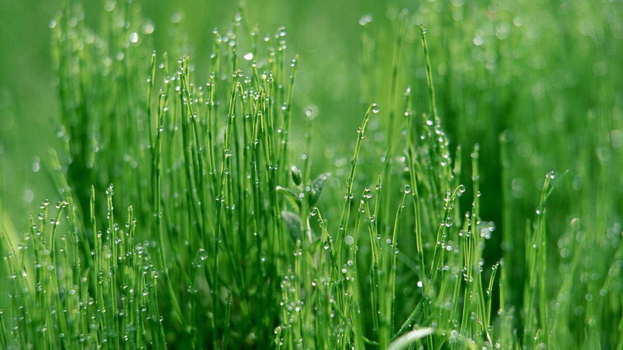 王者荣耀主页刷赞最快,ks刷业务网站,抖音赞自助下单低价-刷的抖音真人粉