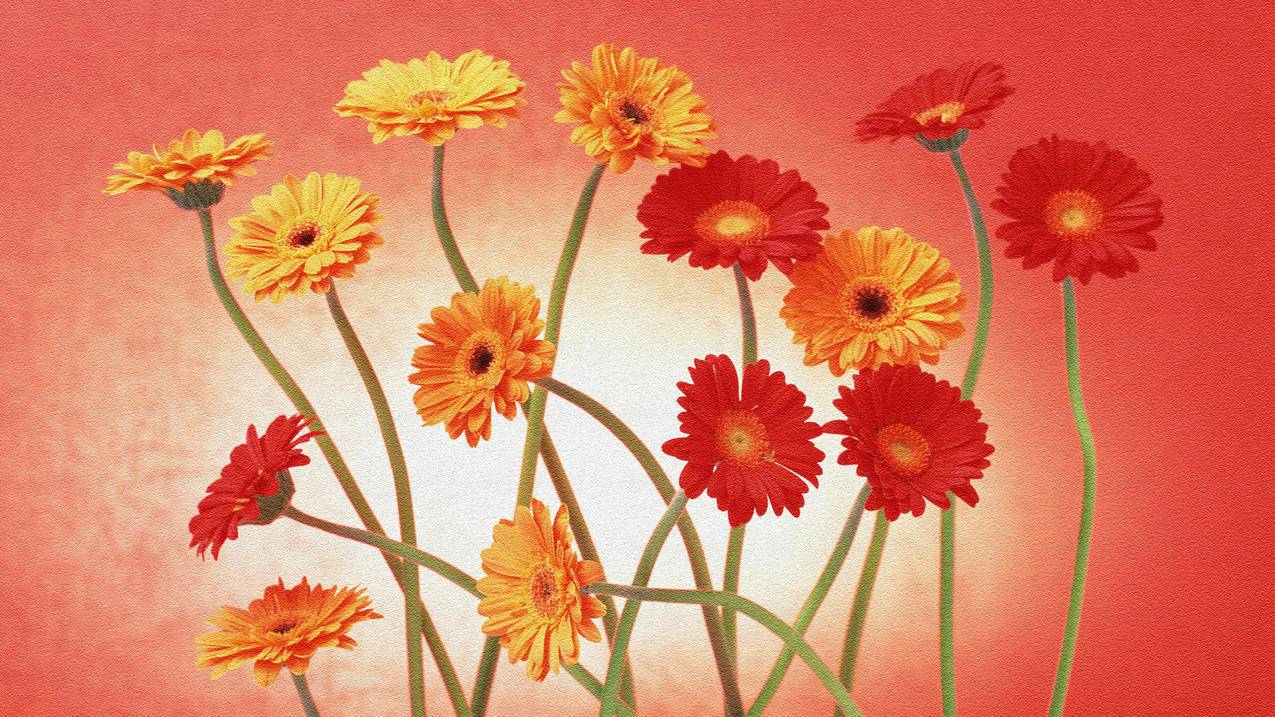 怎么搞拼多多砍价链接呢-dy业务网