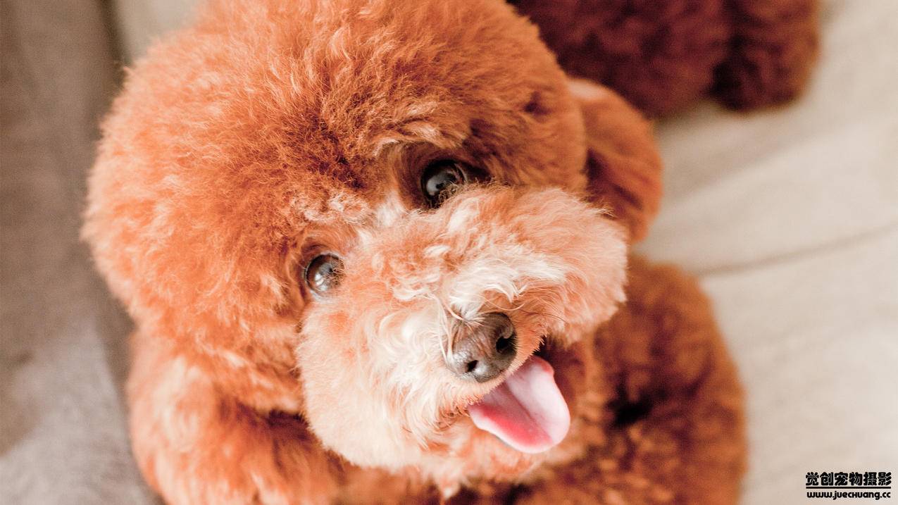 什么学历进抖音最好-dy业务网