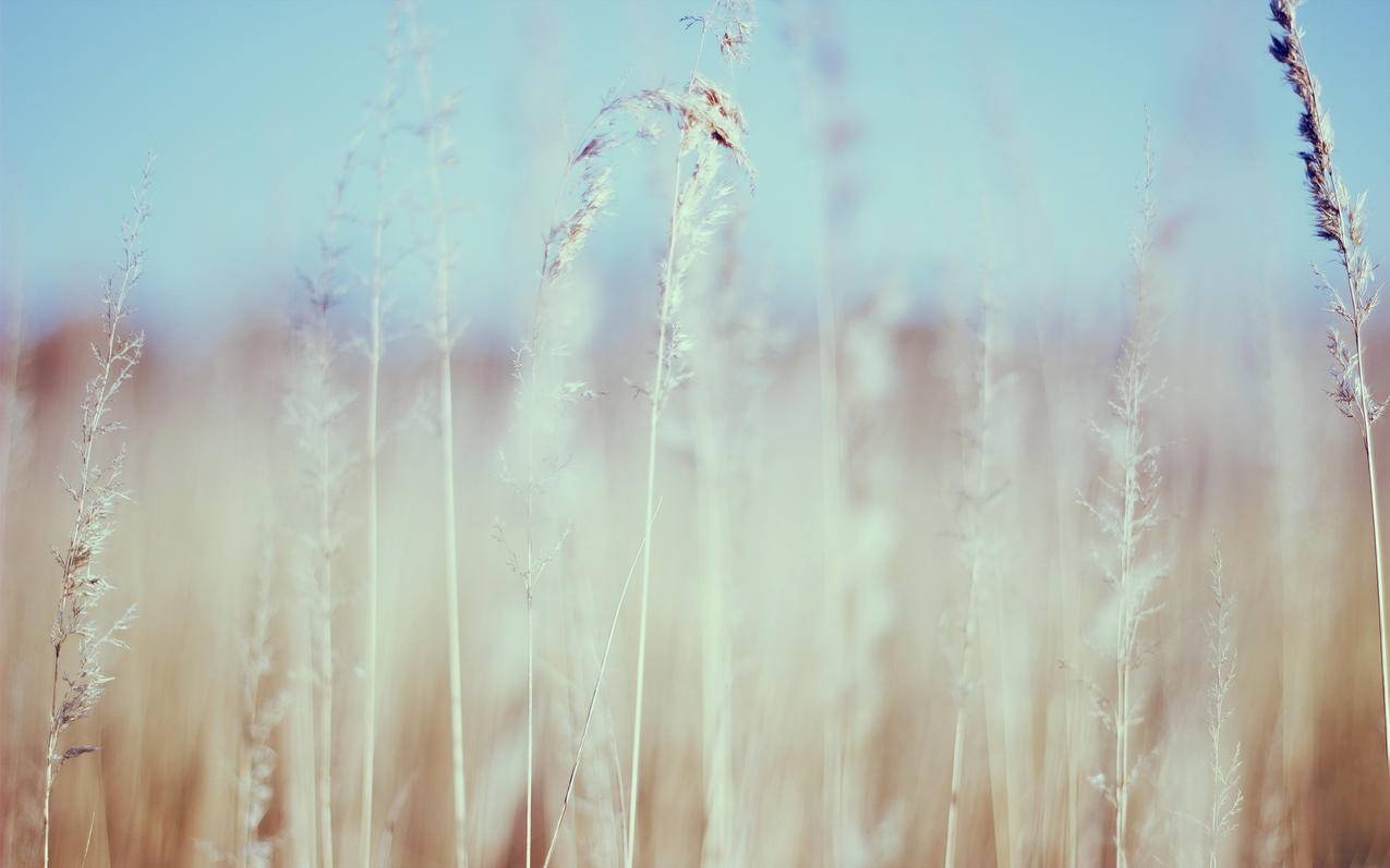 nba2k21交易搜索器选秀权_2k21终极联盟怎么交易选秀权 - IOS分享 - 55dz账号网