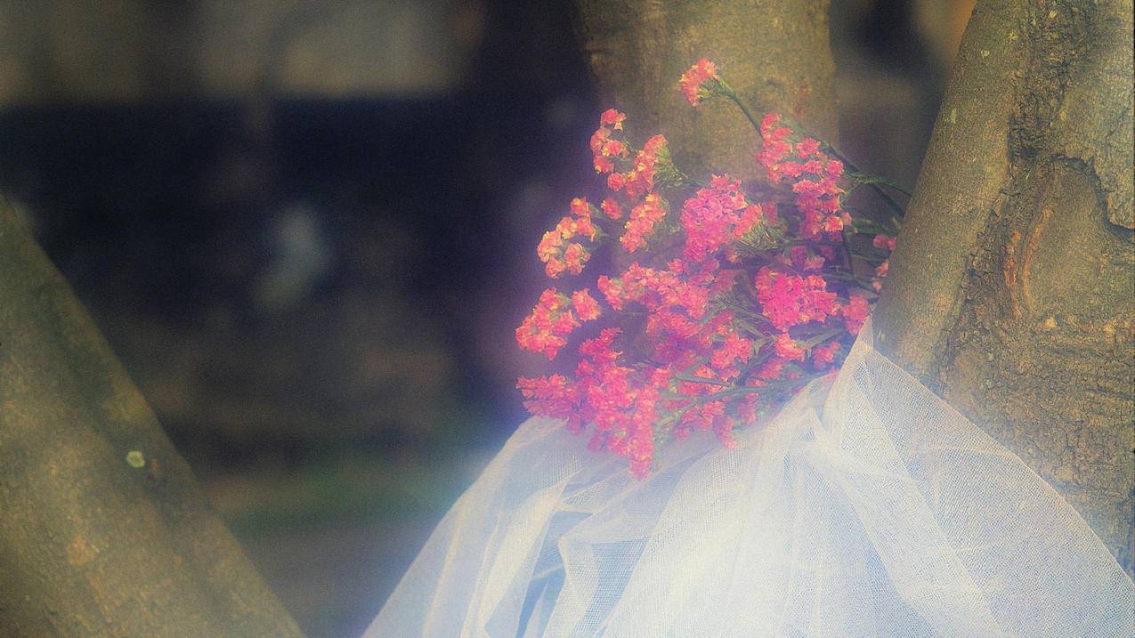 免费领名片赞网站在线 - qq空间业务自助下单平台 - QQ刷赞网站