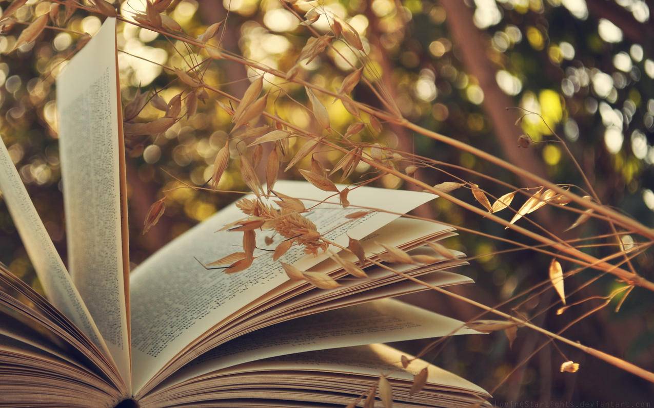 nba2k21画面为什么这么卡_NBA2k21为什么卡 - IOS分享 - 55dz账号网