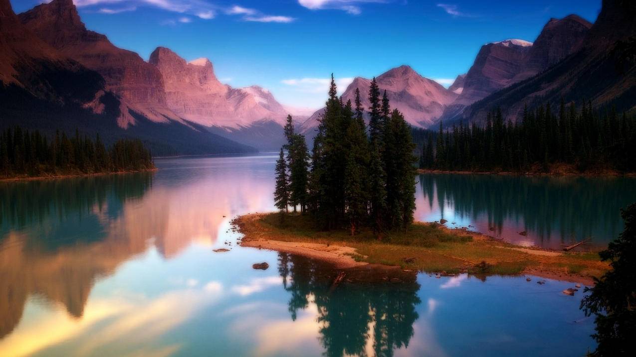 clash哪里找订阅链接_Clash订阅地址 - clash相关 - 55dz账号网