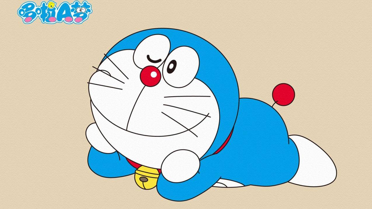 拼多多砍价怎么没有数据-dy业务网