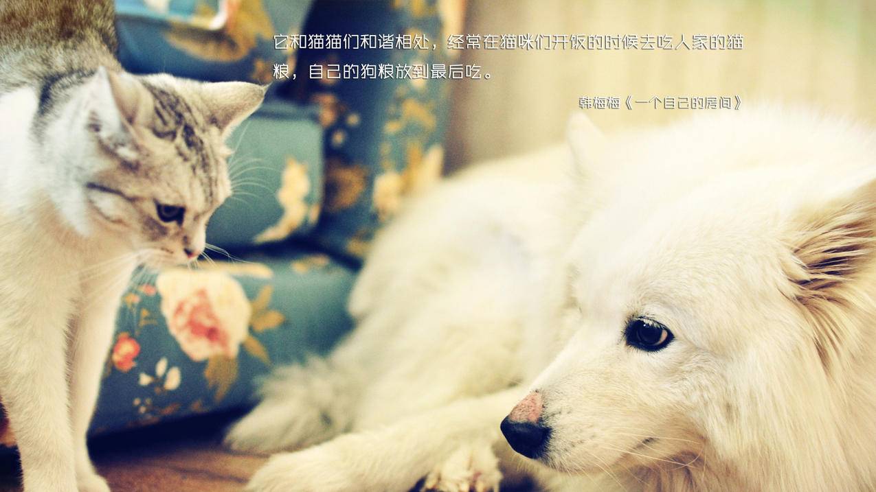 苹果申请香港appleid账号密码_苹果香港id账号及密码大全 - 香港苹果ID - 55dz账号网