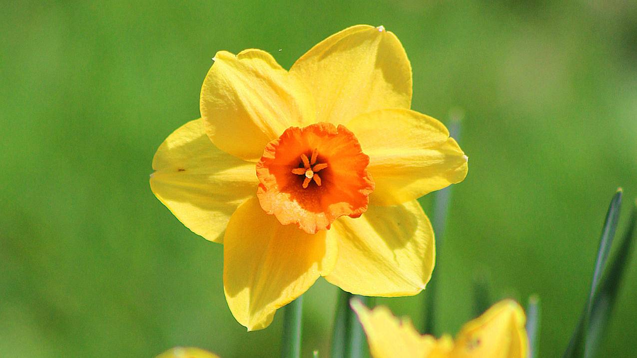 苹果id解锁账户怎么解锁 ， 苹果id锁定了怎么解锁账户  - 55dz账号网