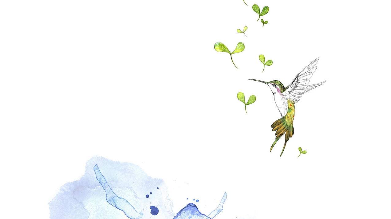 苹果手机忘了id密码下载不了微信怎么办? ， 我忘了ID密码,微信更新不了怎么办?  - 55dz账号网