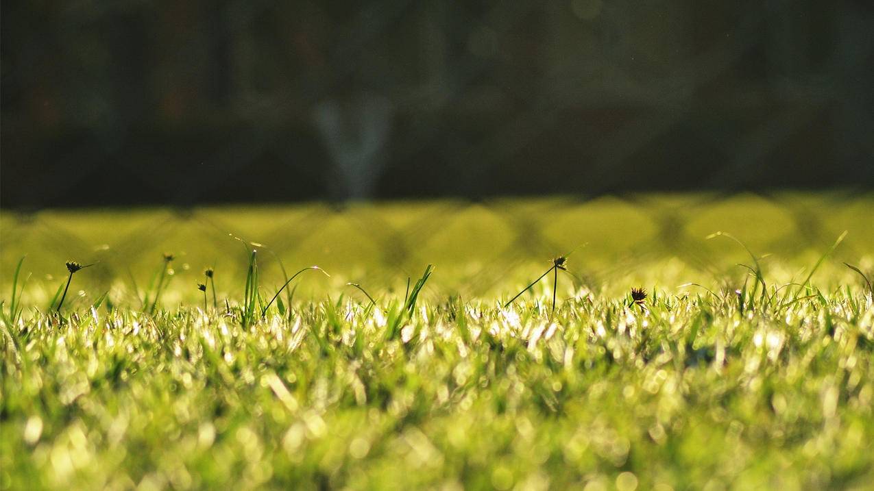 TIKTOK佣金怎么算？TikTok平台佣金规则大揭秘-苹果id平台