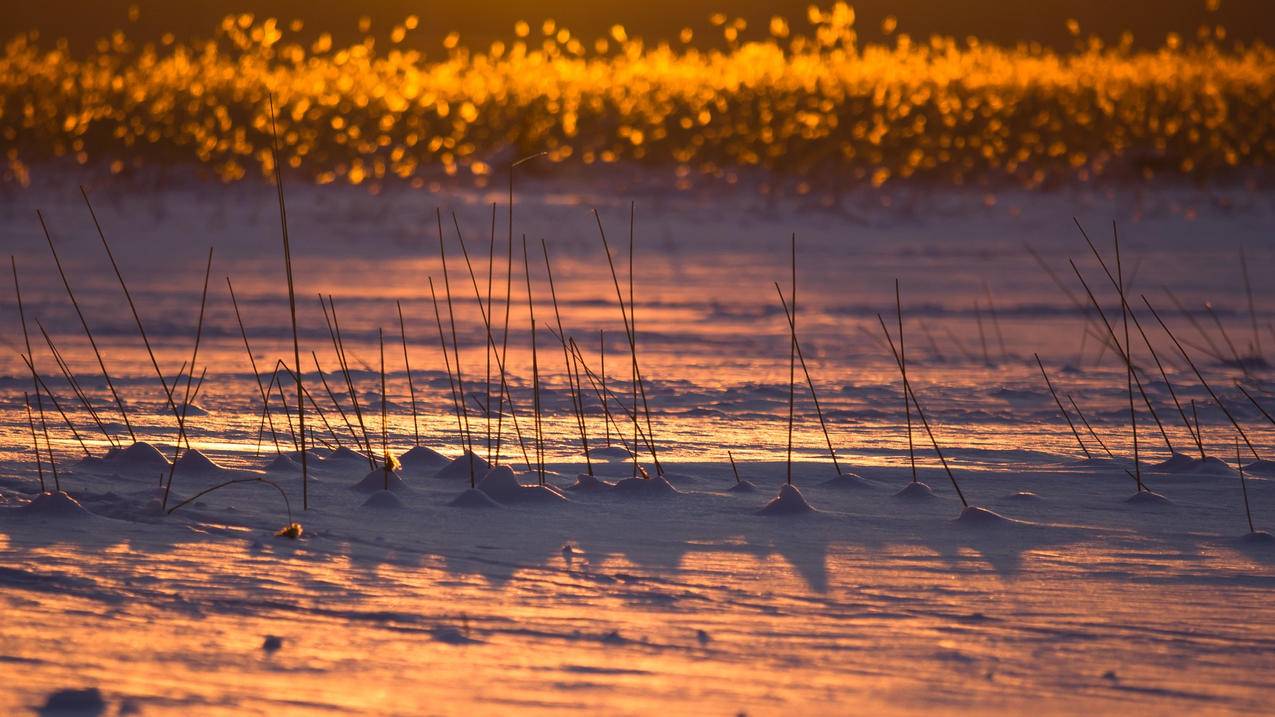 高中数学组合游戏有哪些，高中数学中，有哪些有趣的组合游戏可以探索？ - 自助下单ks - ks24小时自助