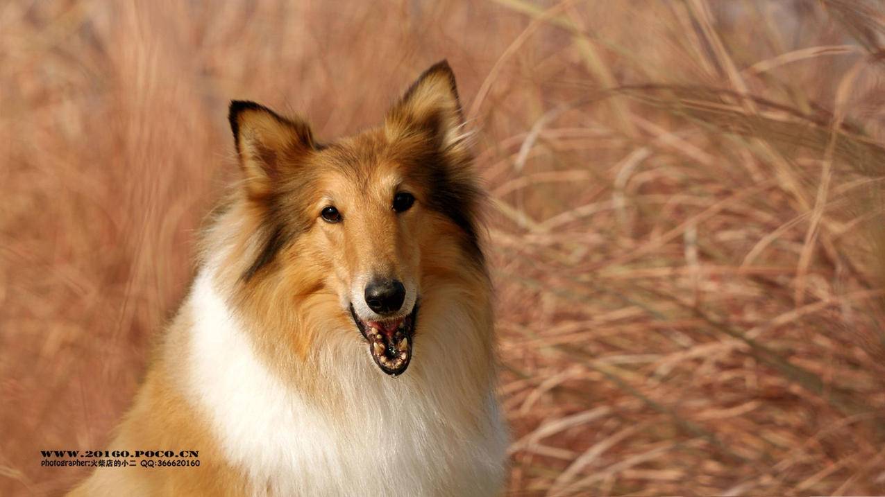 facebook手机验证码双重验证怎么设置_facebook手机验证码双重验证怎么设置密码 - facebook相关 - 55dz账号网