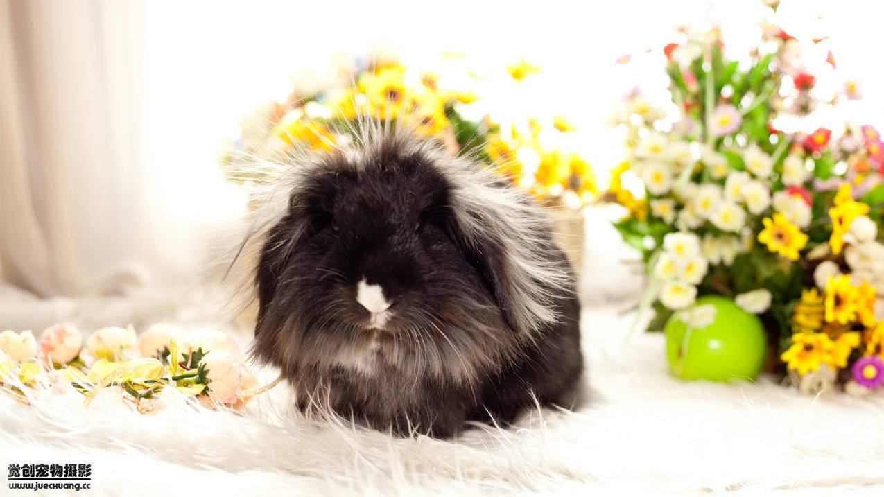 手机怎么安装加速器  ( 华为手机小火箭怎么使用怎么安装 ) - 55dz账号网