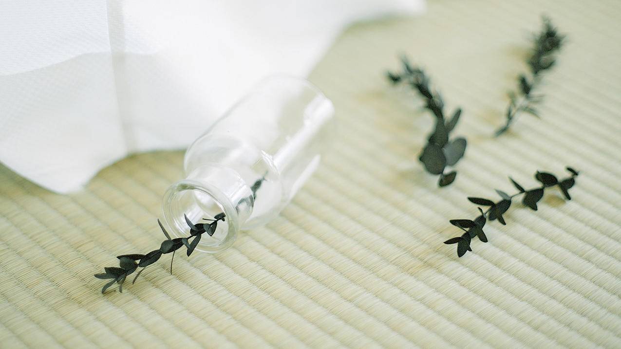 日区id免费账号有效2024稳定无锁[用了都说好]_海外账号购买网