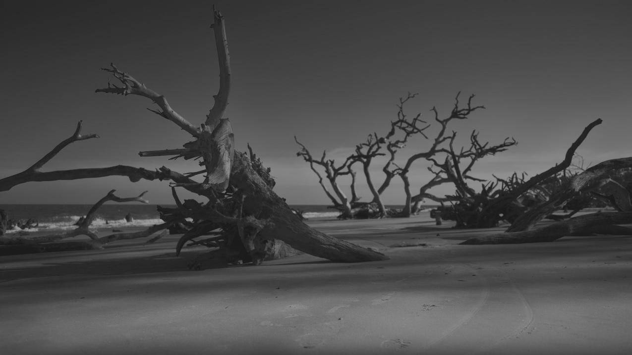 苹果手机怎样切换已安装字体_苹果手机怎样切换已安装字体设置 - skype相关 - 55dz账号网