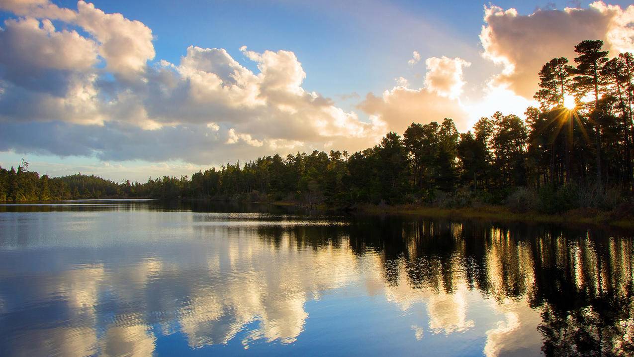 尼尔机械纪元_尼尔机械纪元攻略 - messenger相关 - 55dz账号网