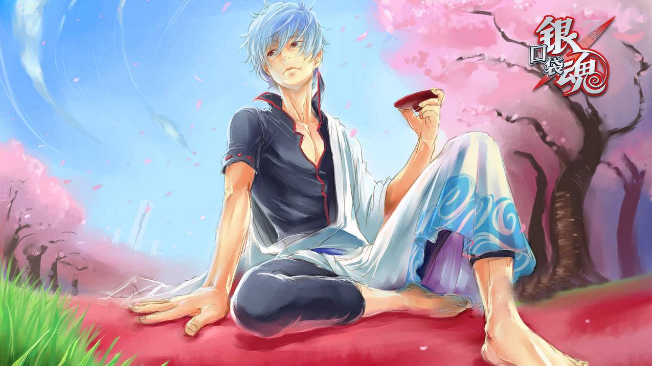 苹果id找回密码 ， 苹果id退款失败怎么办  - 55dz账号网