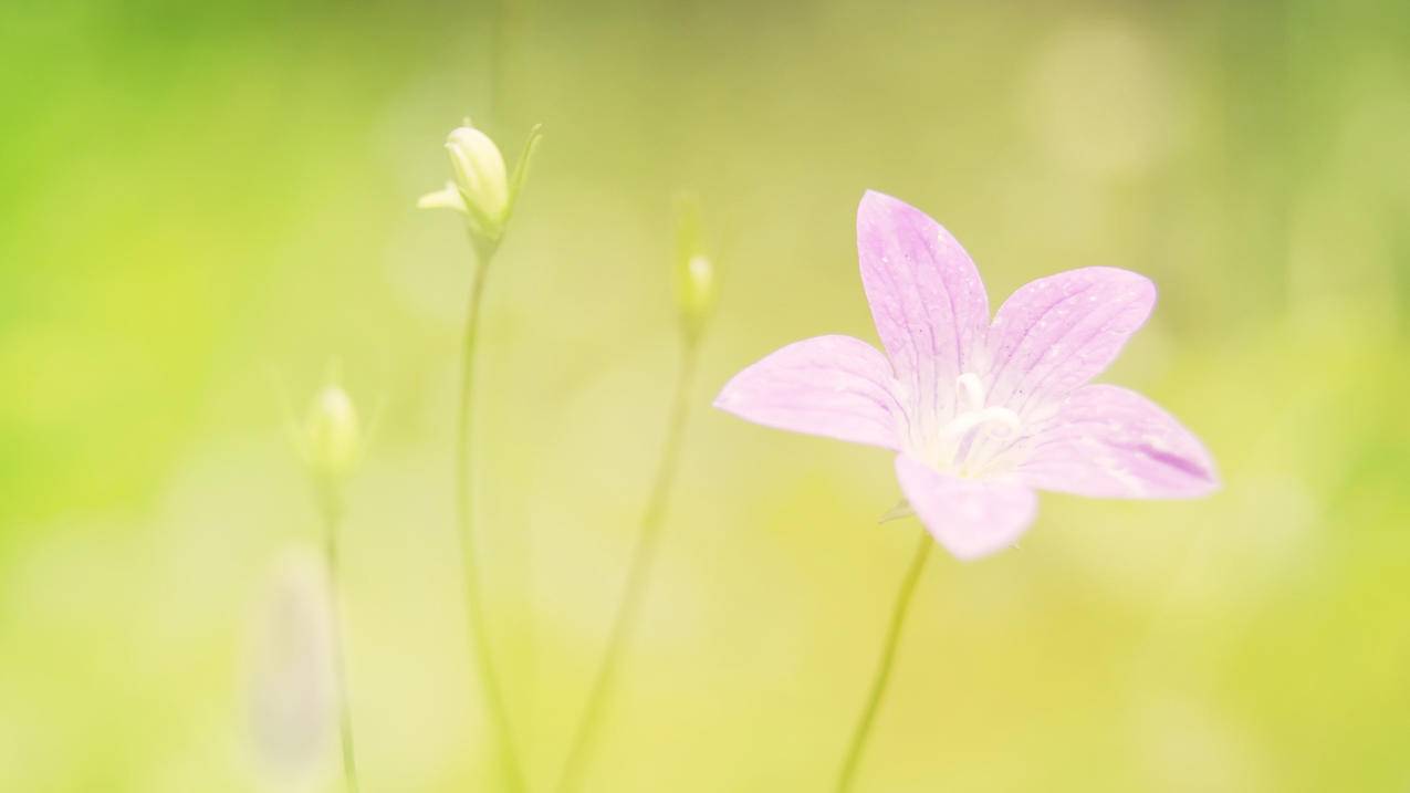 lol手游国服怎么用韩国苹果id登陆_lol手游国服怎么用韩国苹果id登陆游戏 - 韩国苹果id - 55dz账号网