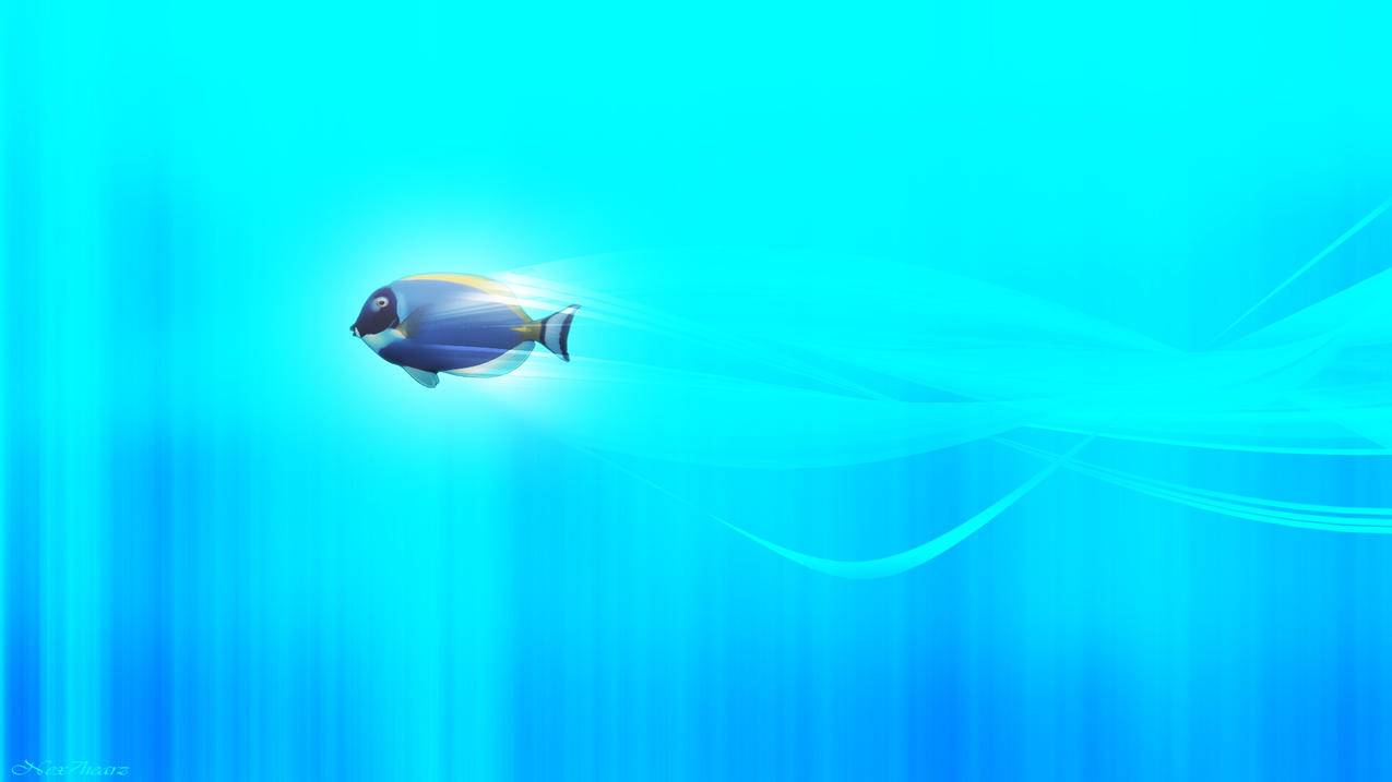 苹果11美版和国行区别  ( 美版和国行有什么区别? ) - 55dz账号网