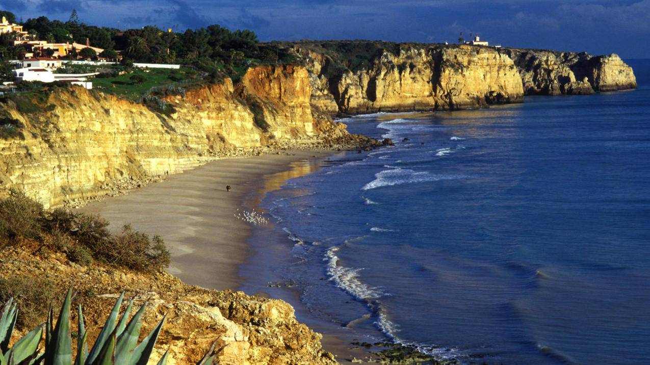 高中数学图表究竟有哪些独特类型呢？，高中数学常用图表包含哪些呢？，高中数学到底涵盖哪些图表呀？ - 自助下单ks - ks24小时自助