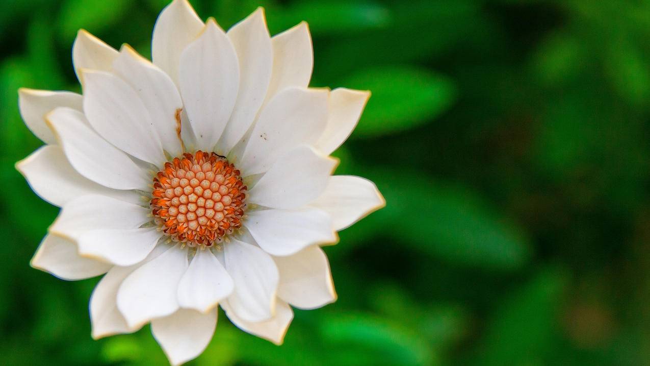 个人邮箱怎么填_个人联系邮箱怎么填 - gmail相关 - 55dz账号网