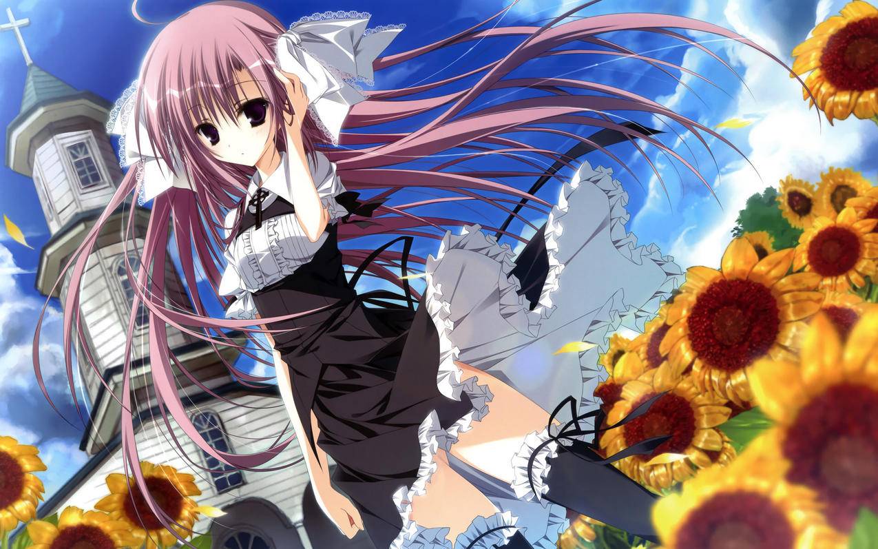 如何找回苹果账号id密码 ， 如何找回苹果手机ID密码?  - 55dz账号网