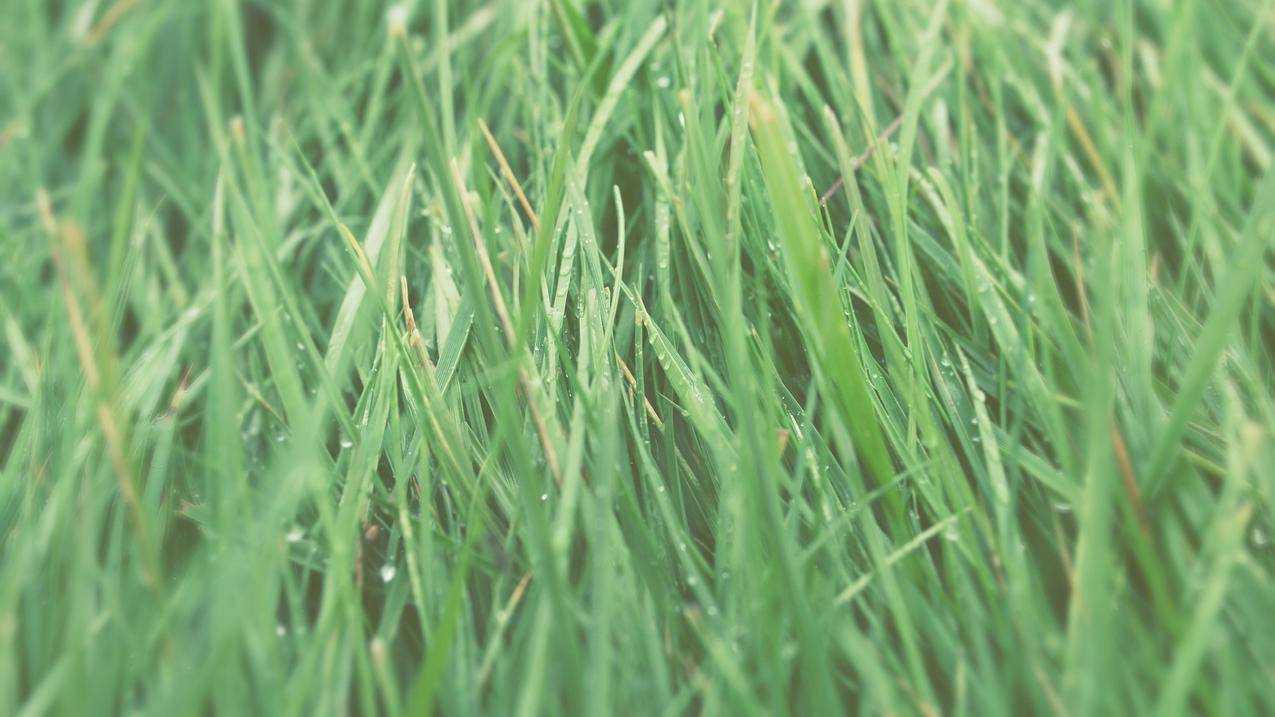 facebook怎么变成中文版_facebook怎么改成中文版 - facebook相关 - 55dz账号网