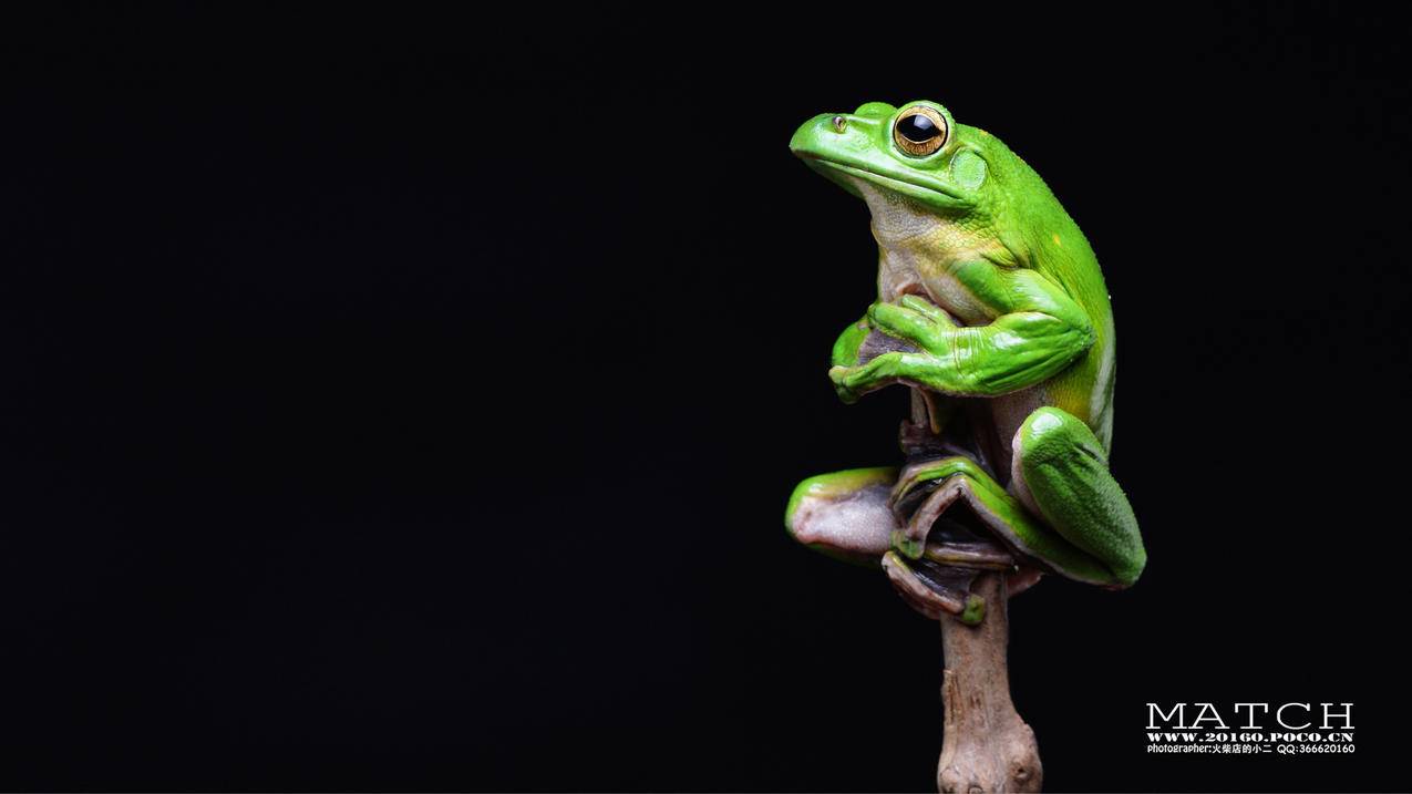 美版appleid账号购买_怎么购买美版苹果的ID - 各区苹果ID - 55dz账号网