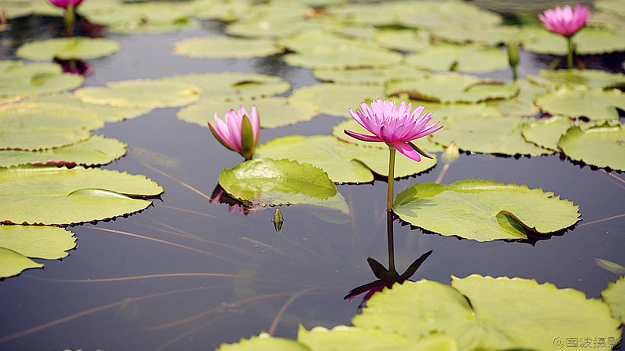 申请香港苹果id账号步骤如下的简单介绍 - 香港苹果ID - 55dz账号网