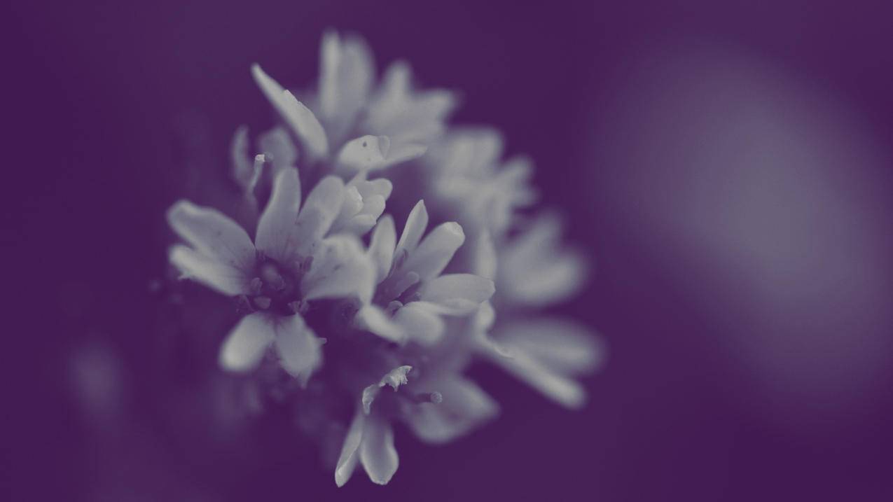 更改日本appleid验证码错误_苹果日本id无法登陆 - 日本苹果ID - 55dz账号网