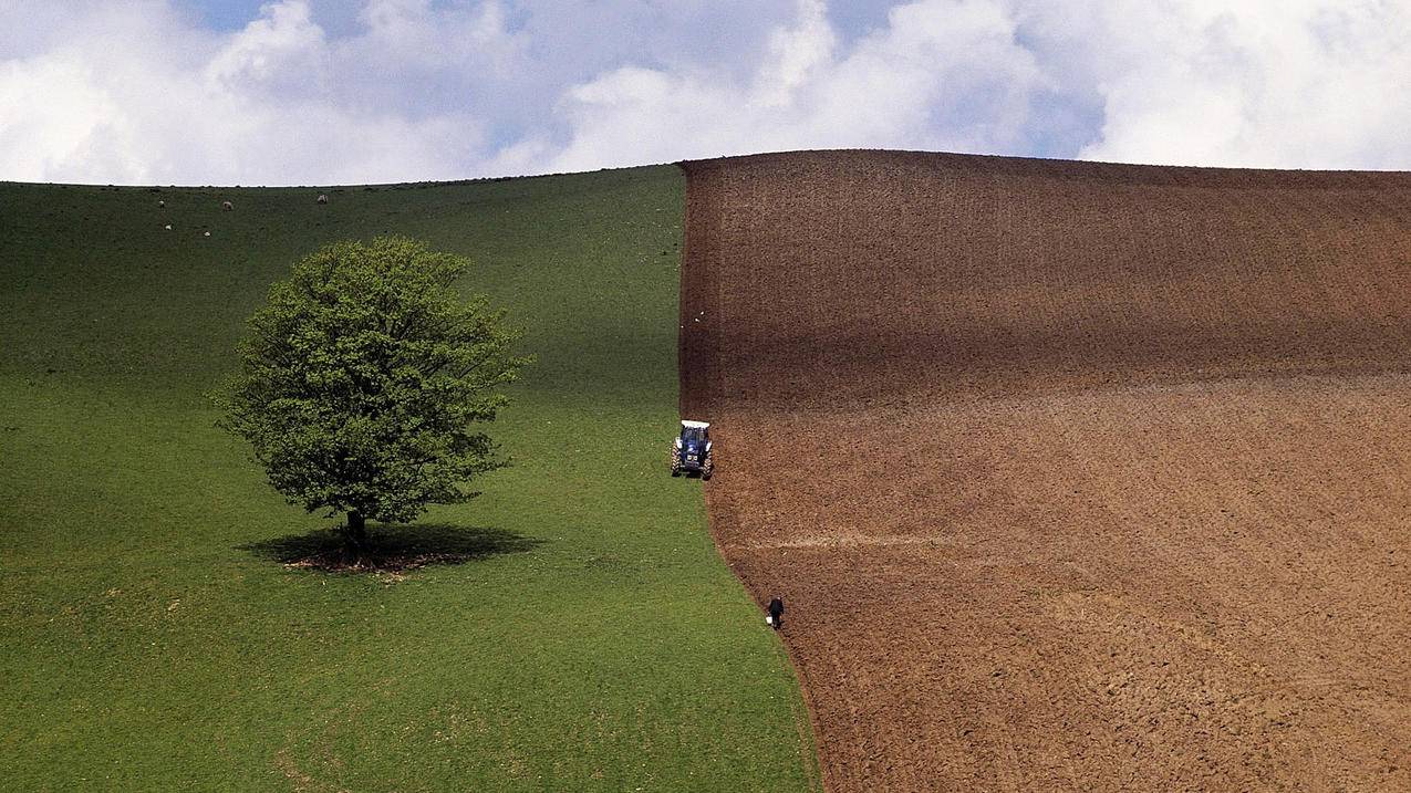 球球免费刷人气 - QQ业务低价进货卡盟平台,手机抖音免费点赞软件