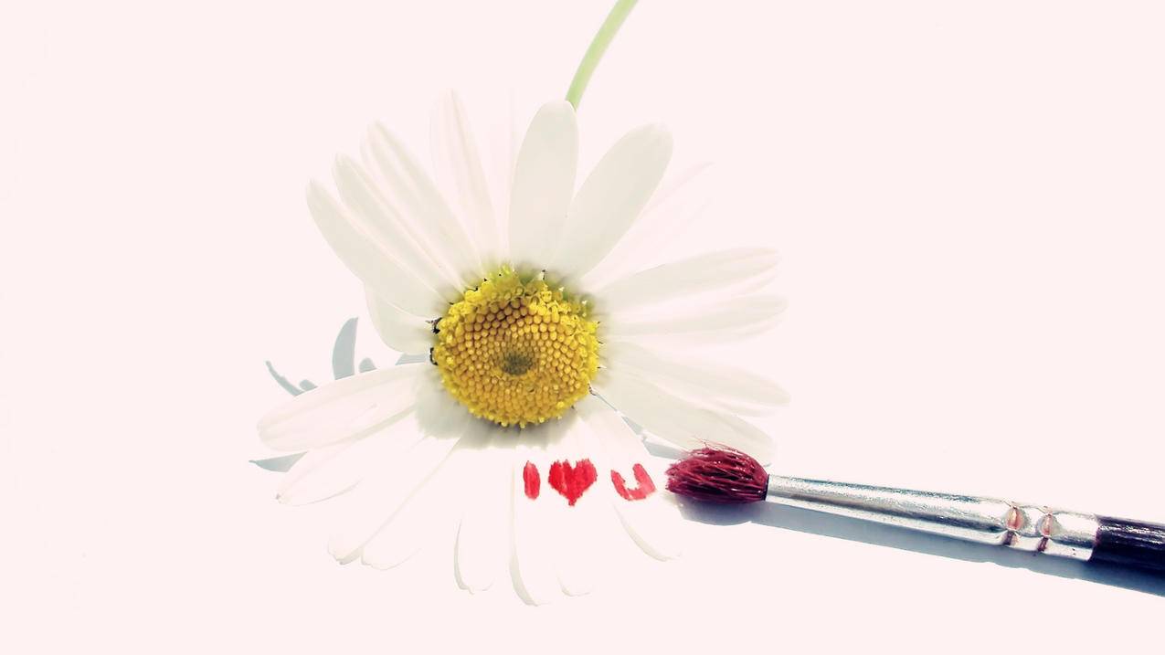 拼团微信小程序_拼团微信小程序怎么弄 - 微信相关 - 55dz账号网