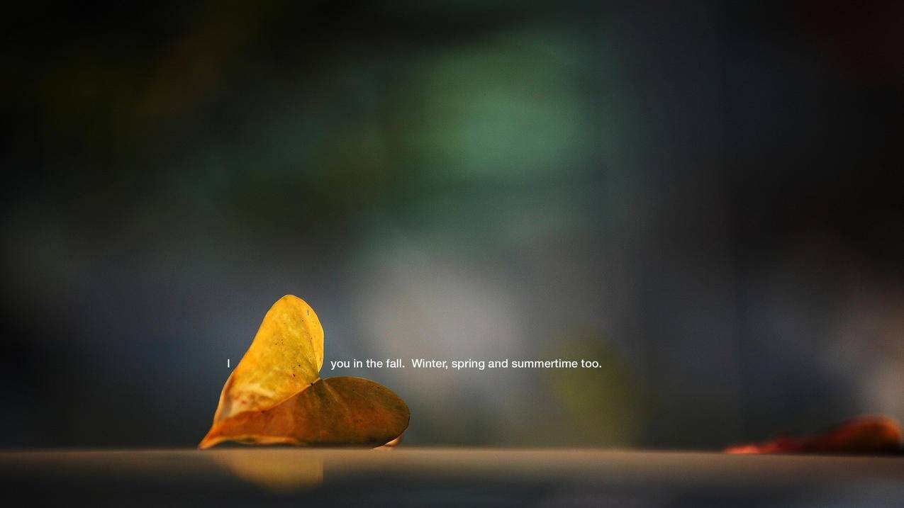 如何更改苹果手机只能冲Id不能微信付款的付款方式? ， 苹果id换了手机号,怎么还是验证的时候,还让我验证老的手机号  - 55dz账号网