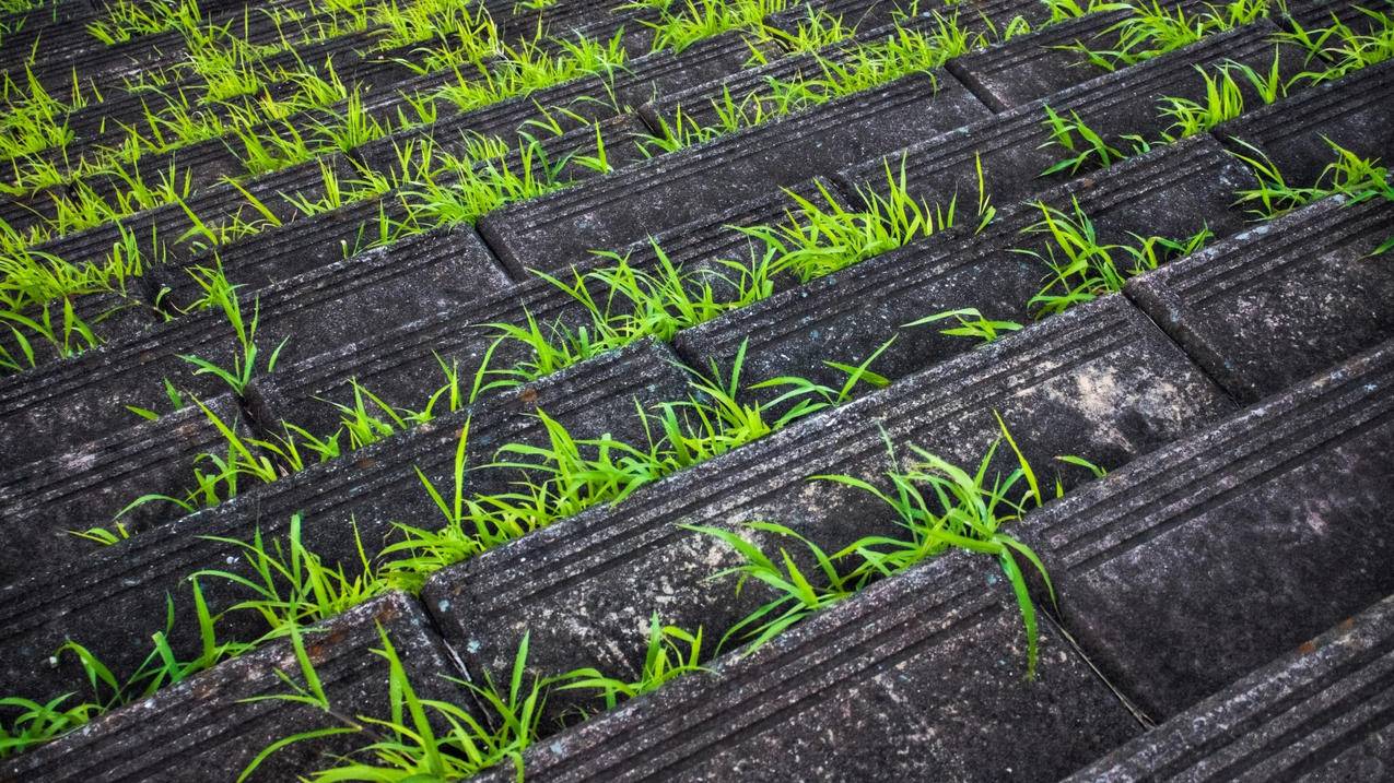 nba2k20中文无限金币破解版下载_nba2k20破解版无限金币版v9802安 - IOS分享 - 55dz账号网