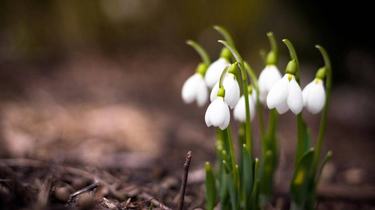 skype如何看历史记录_skype怎么查历史对话记录 - skype相关 - 55dz账号网