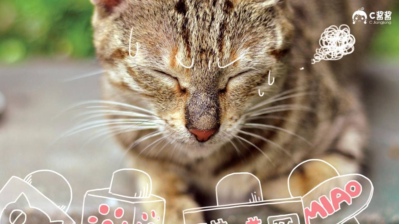 怎么注册苹果美服id ， 美服苹果id账号注册教程  - 55dz账号网