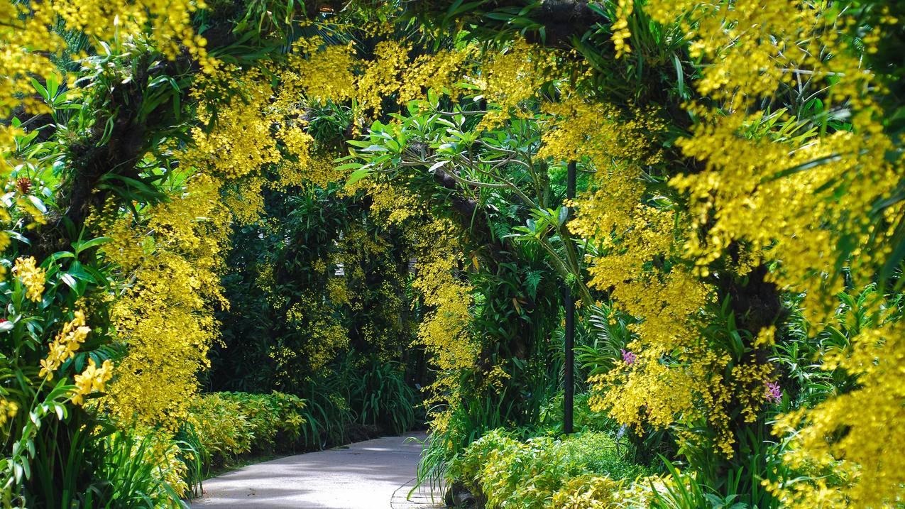 日本苹果id欠款最高到多少_日本苹果id里面有钱为什么不能付款 - 日本苹果ID - 55dz账号网