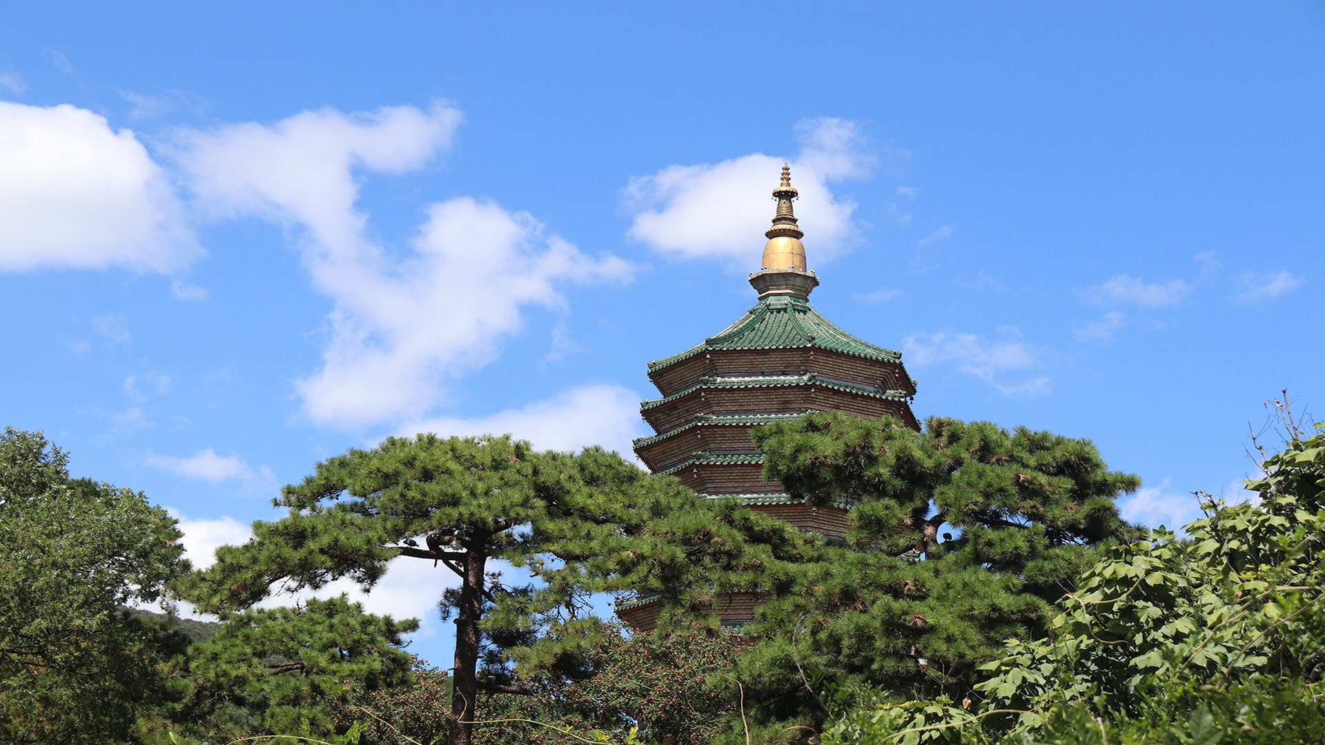 民间借贷以调解方式结案是什么意思_人民调解委员会调解民间借贷 - gmail相关 - 55dz账号网