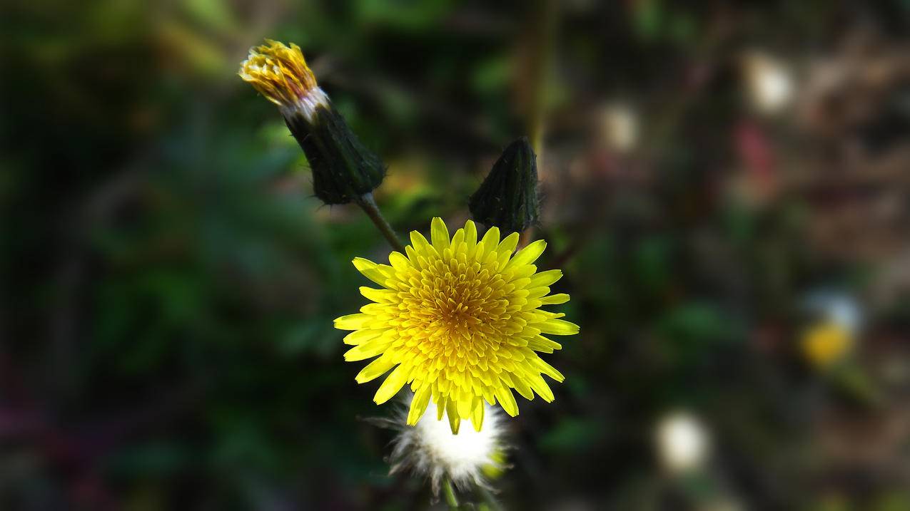 夜读｜改变一生的10个成长法则 - Apple ID相关 - 55dz账号网