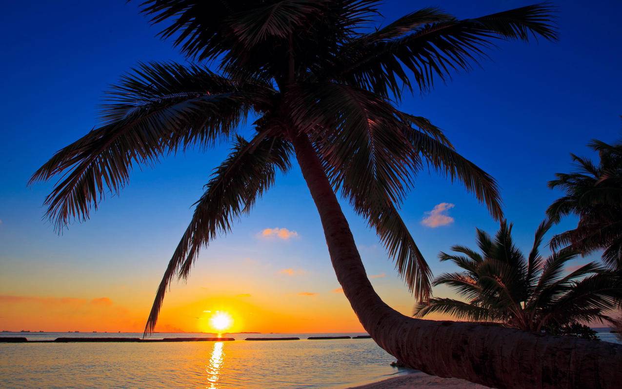 苹果ID怎么取消支付宝支付? ， 想取消苹果手机绑定支付宝取消不了,怎么办?  - 55dz账号网