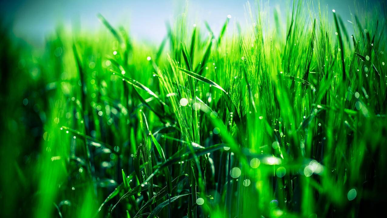 苹果id怎么更改_苹果id怎么更改地区 - 各区苹果ID - 55dz账号网