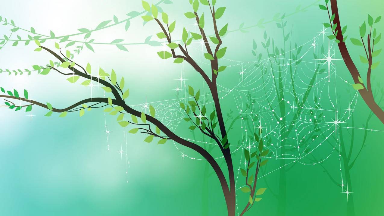 如何更改照片背景颜色手机 ， 怎么在苹果手机的相册中添加背景图片  - 55dz账号网