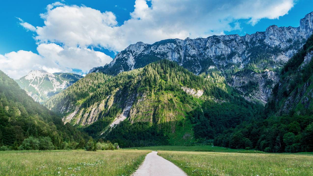 越南苹果id不能支付 - 各区苹果ID - 55dz账号网