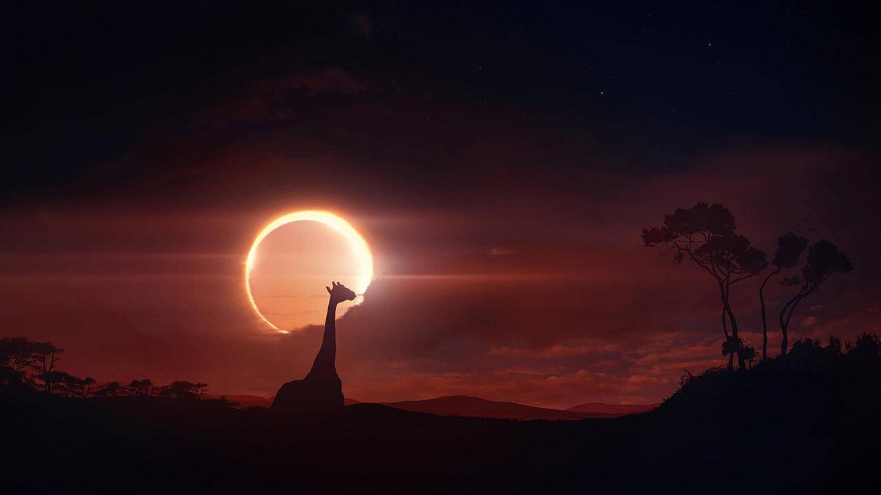 skymusic下载_skymusic下载苹果 - skype相关 - 55dz账号网