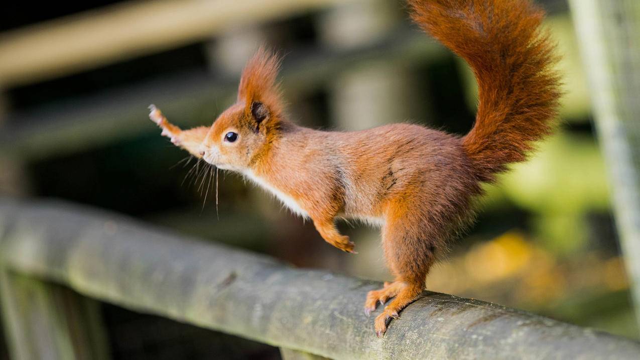 iPhone如何完全清除个人信息？苹果手机删除个人信息方法_海外账号购买网